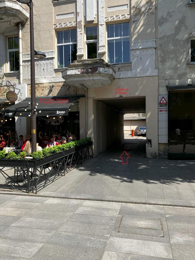Ingos Laisves Al. Apartamentai Kaunas Buitenkant foto